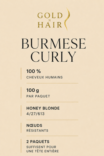 Crochet Braids Burmese Curly – 100%Premium Human Hair – 100g/pack – Honey Blonde Highlight #4/27/613